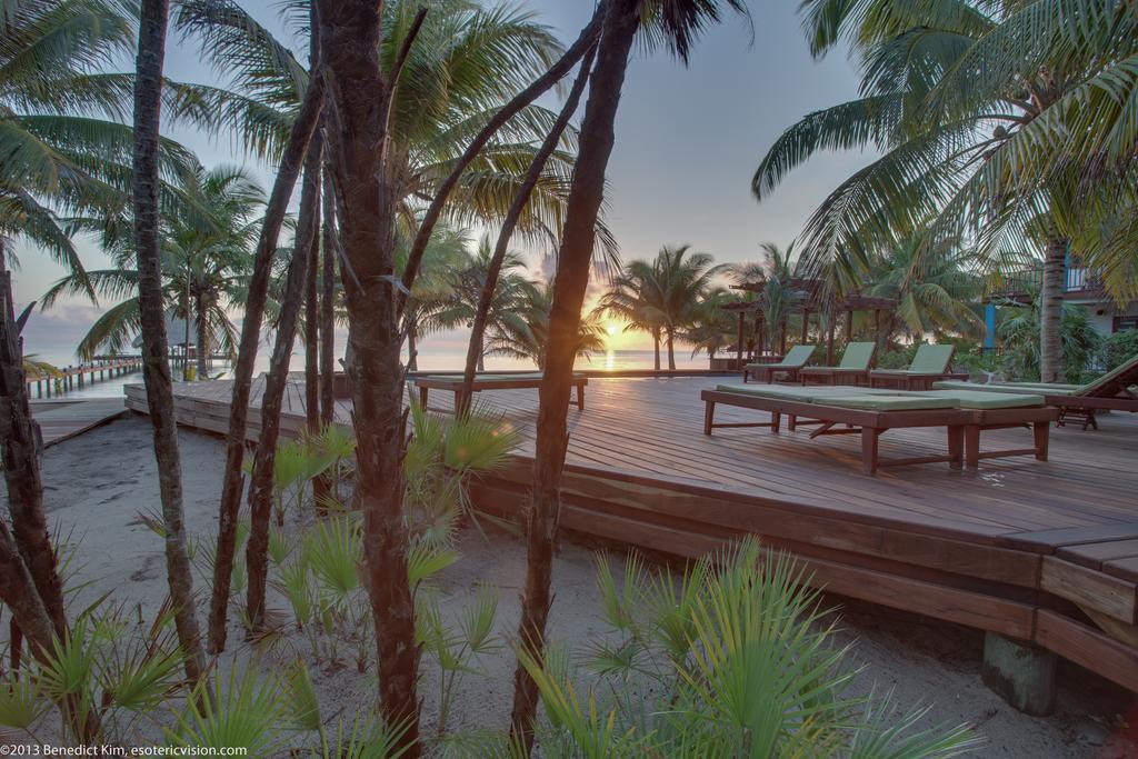 Robert'S Grove Beach Resort Placencia Ngoại thất bức ảnh