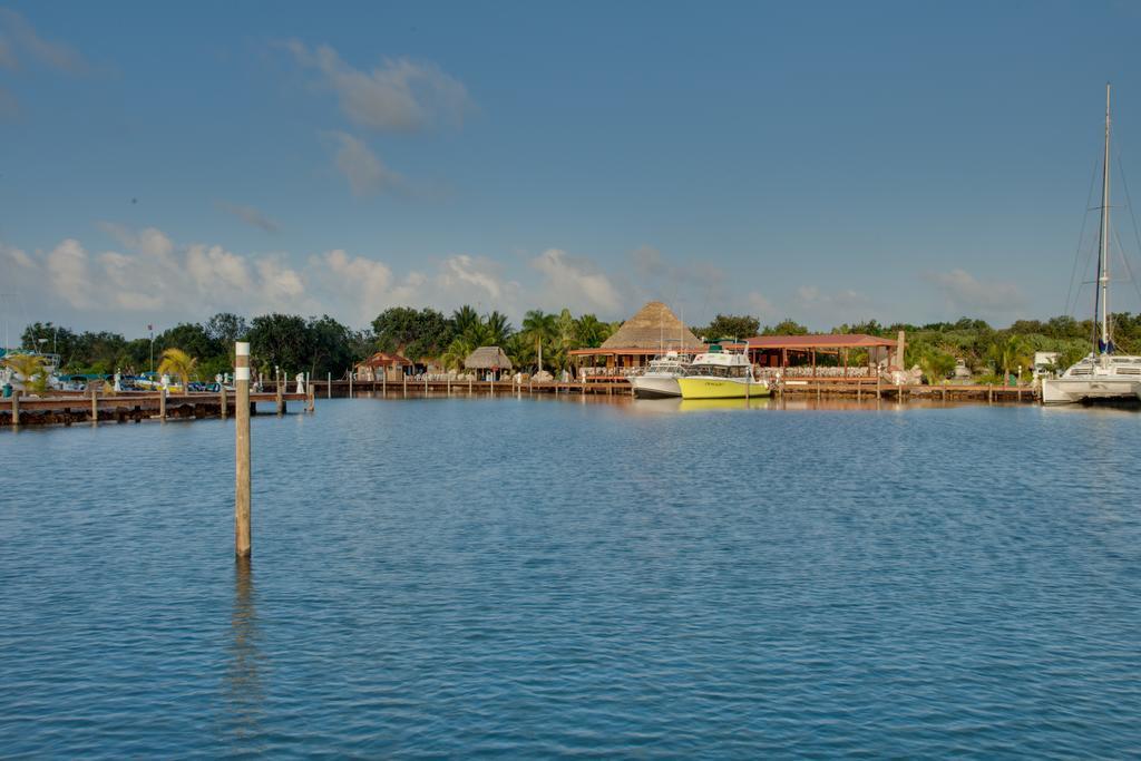 Robert'S Grove Beach Resort Placencia Ngoại thất bức ảnh